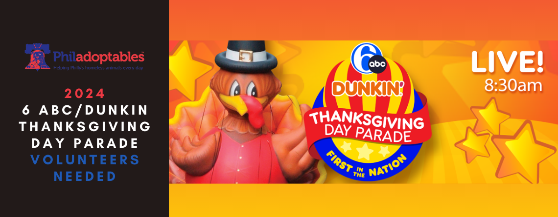 2024 6 ABC/Dunkin Thanksgiving Day Parade Volunteers Needed