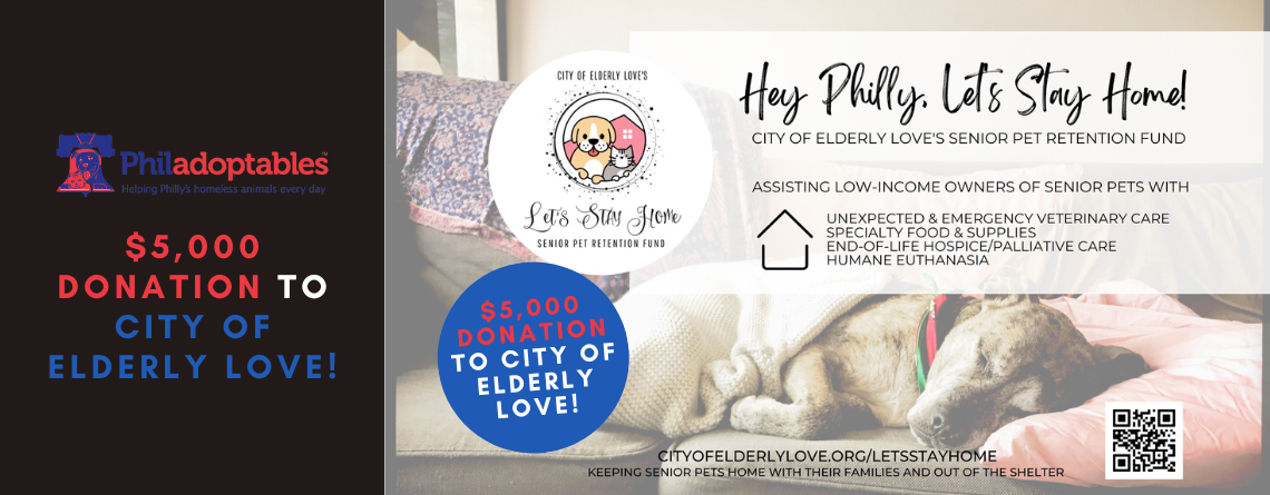 $5,000 Donation to City of Elderly Love: Save a Senior Pet