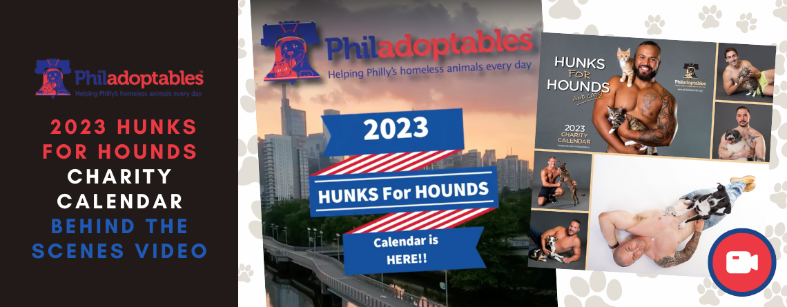 Behind The Scenes Video: 2023 Hunks for Hounds Charity Calendar