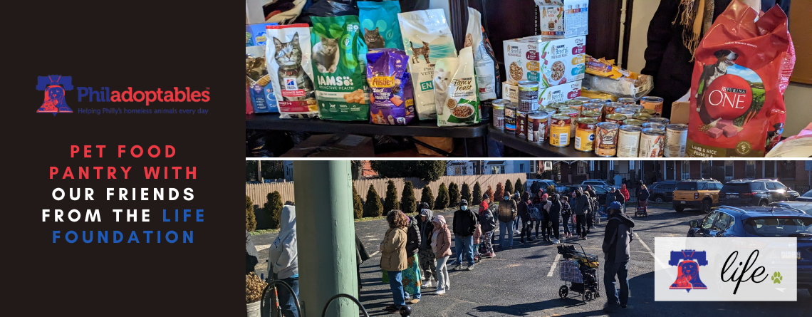 Pet Food Pantry With Our Friends From The Life Foundation