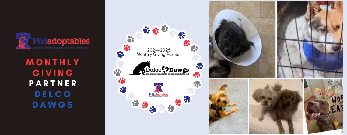 Monthly Giving Partner: Delco Dawgs