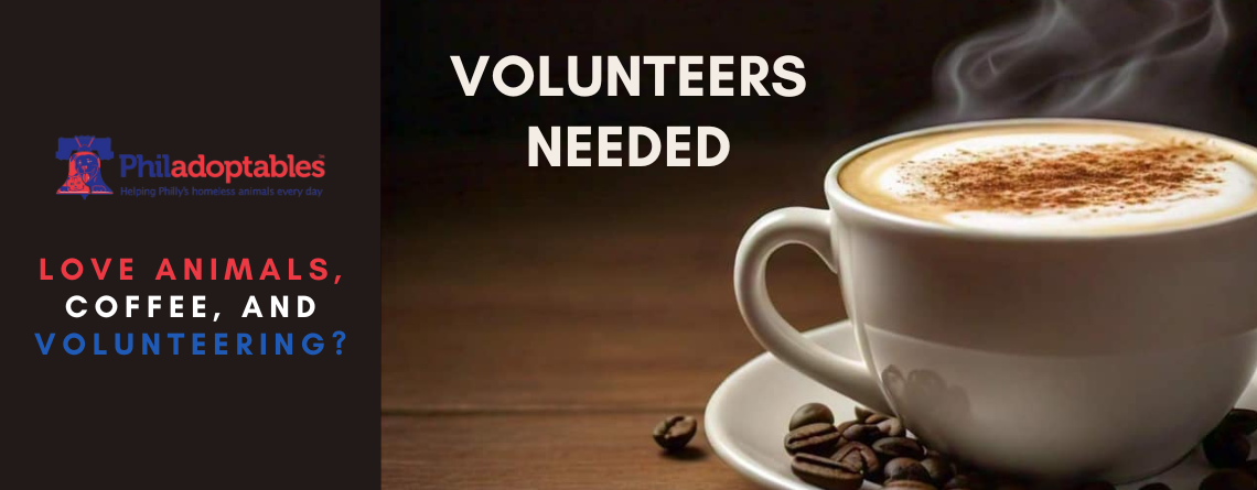 Love Animals, Coffee, and Volunteering?