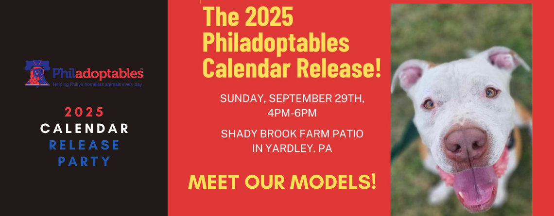 2025 Calendar Release Party