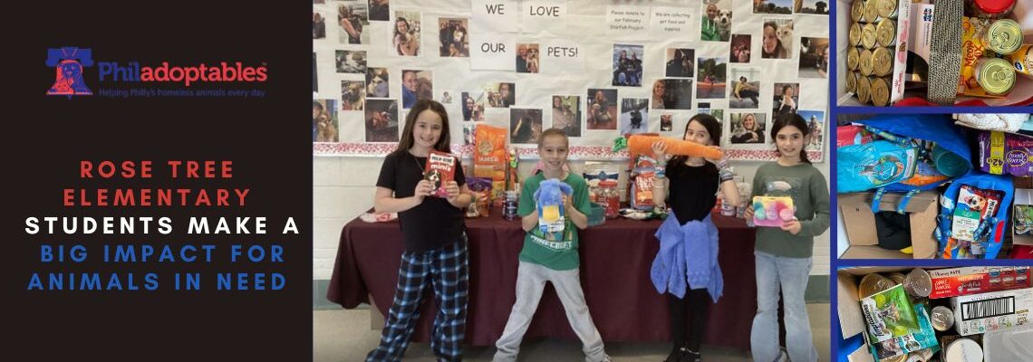 Rose Tree Elementary Students Make a Big Impact for Animals in Need