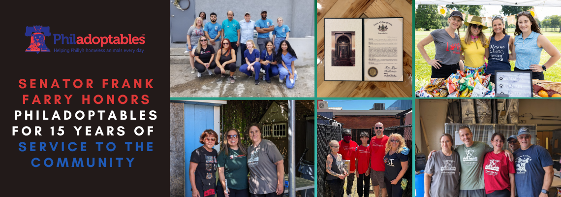 Philadoptables Honored for 15 Years of Service to the Community
