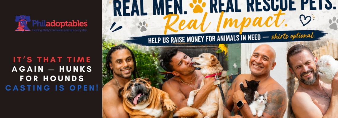 It’s that time again — Hunks for Hounds casting is OPEN!