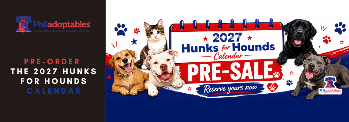 Pre-Order the 2027 Philadoptables Hunks for Hounds Calendar